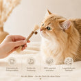 Bild in Galerie-Betrachter laden, Matatabi Kausticks Für Katzen Natürliches Spielzeug Und Zahnpflege 3er Set CagillyPaw e.U.
