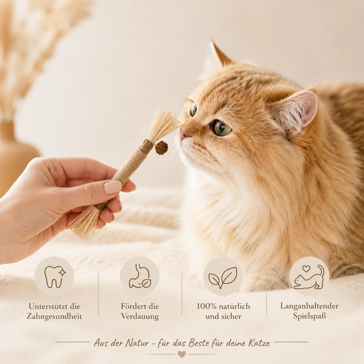 Matatabi Kausticks Für Katzen Natürliches Spielzeug Und Zahnpflege 3er Set CagillyPaw e.U.