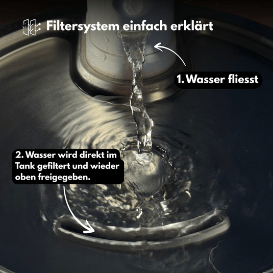 Akkubetriebener Edelstahl - Trinkbrunnen mit Bewegungssensor - CagillyPaw e.U.